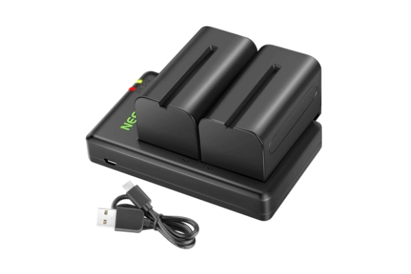 Batteries and charger on a white background